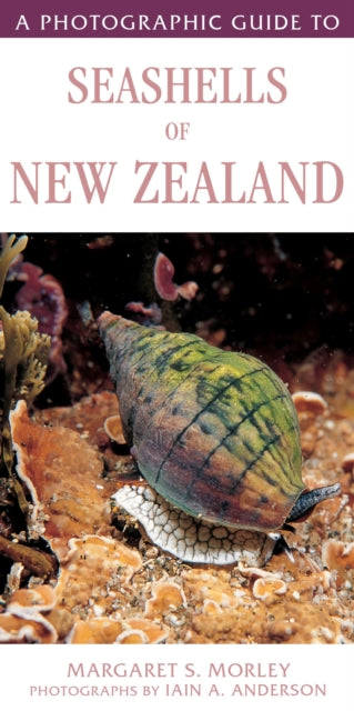 A Photographic Guide to Seashells of New Zealand