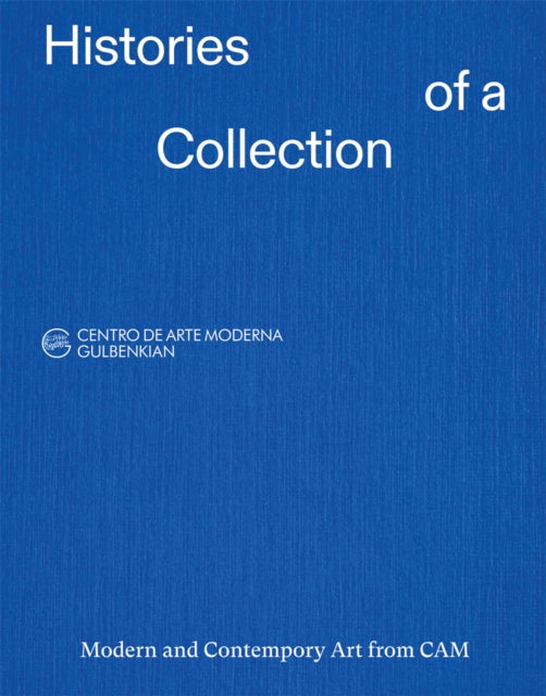 Histories of a Collection: Modern and Contemporary Art from CAM