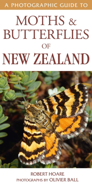 A Photographic Guide to Moths & Butterfies of New Zealand