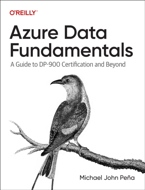Azure Data Fundamentals: A Guide to DP-900 Certification and Beyond