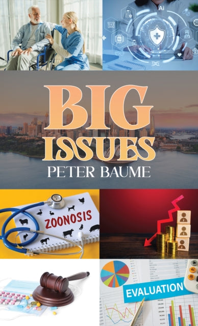 Big Issues