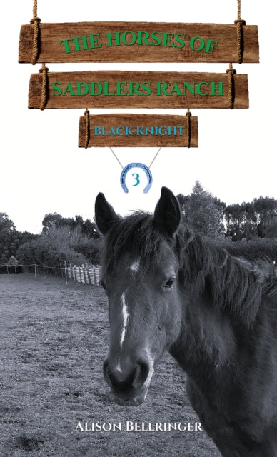 The Horses of Saddlers Ranch: Black Knight: Book Three