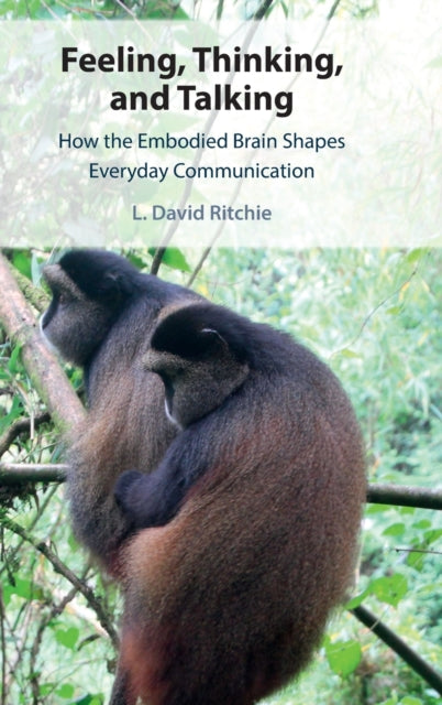 Feeling, Thinking, and Talking: How the Embodied Brain Shapes Everyday Communication