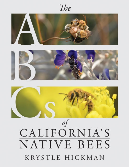 The ABCs of California's Native Bees