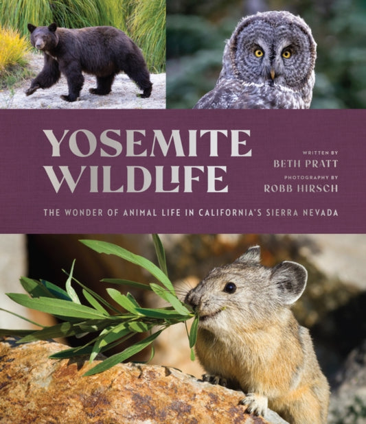 Yosemite Wildlife: The Wonder of Animal Life in California's Sierra Nevada