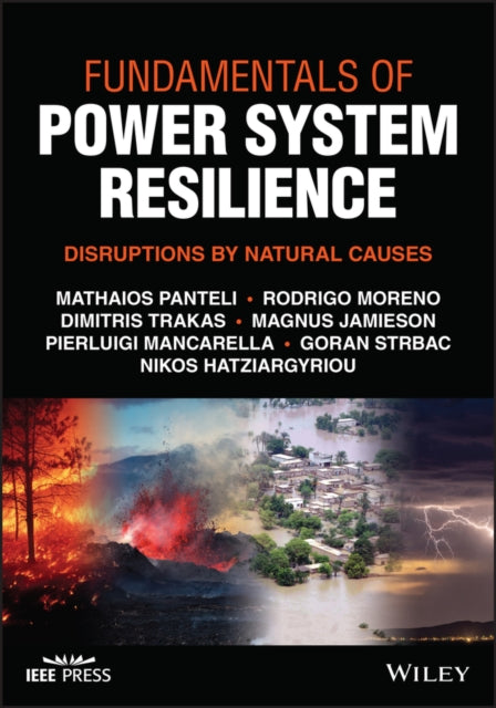 Fundamentals of Power System Resilience: Disruptions by Natural Causes