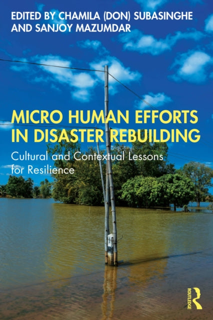 Micro Human Efforts in Disaster Rebuilding: Cultural and Contextual Lessons for Resilience