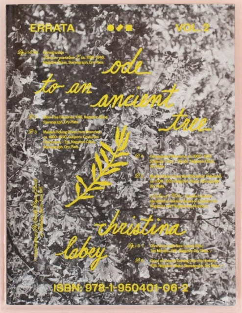 Errata Vol 2: Ode to an Ancient Tree