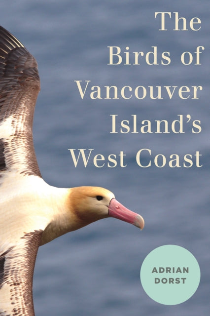 The Birds of Vancouver Island's West Coast