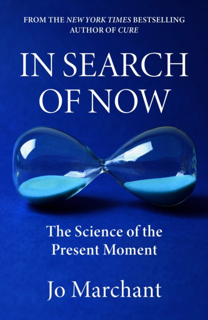 In Search of Now: The Science and Mystery of the Present Moment