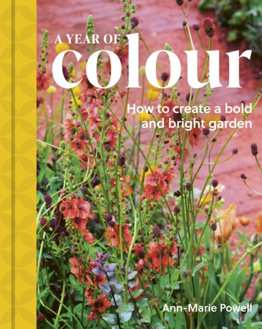 A Year of Colour: How to create a bold and bright garden