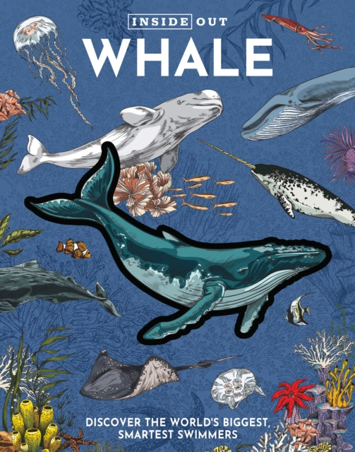 Inside Out Whale: Discover the World's Biggest, Smartest Swimmers