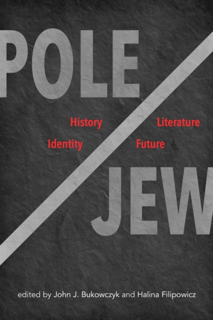 Pole/Jew: History, Literature, Identity, Future