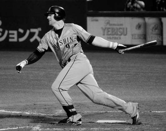 In the Japanese Ballpark: Behind the Scenes of Nippon Professional Baseball
