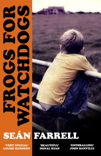 Frogs for Watchdogs: 'A stunning novel that will live long in my imagination’ DONAL RYAN