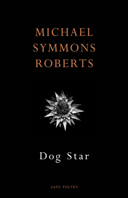 Dog Star