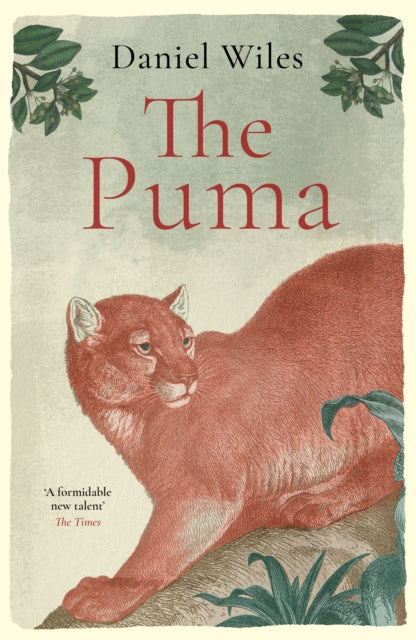 The Puma: 'A formidable new talent' The Times