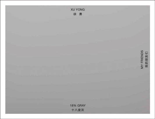 Xu Yong: 18% GRAY / MY FRIENDS