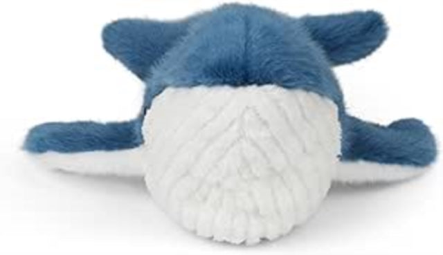 Blue Whale