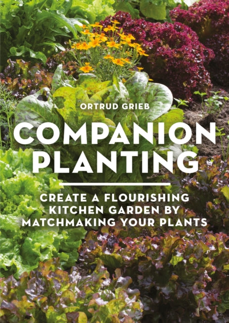 Companion Planting: Create a Flourishing Kitchen Garden By Matchmaking Your Plants