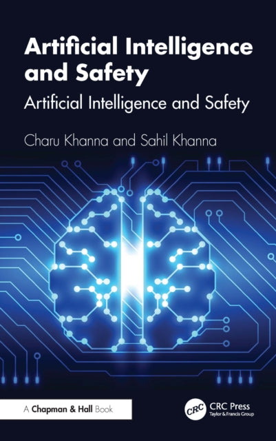 Artificial Intelligence and Safety: A Practical Guide for Programmers and Decision Makers