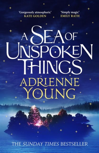 A Sea of Unspoken Things: a spellbinding mystery to lose yourself in