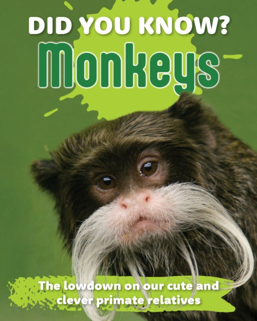 Did You Know? Monkeys: The lowdown on our cute and clever primate relatives