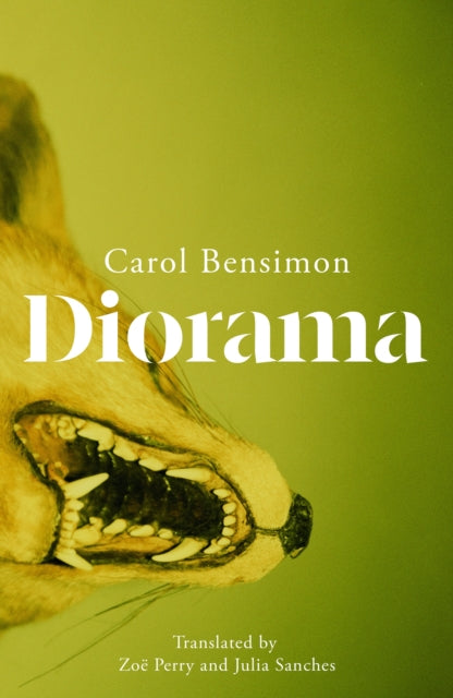 Diorama: an engrossing suspense novel set in 1980s Brazil