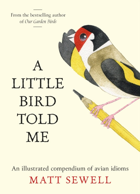 A Little Bird Told Me: An Illustrated Compendium of Bird Phrases