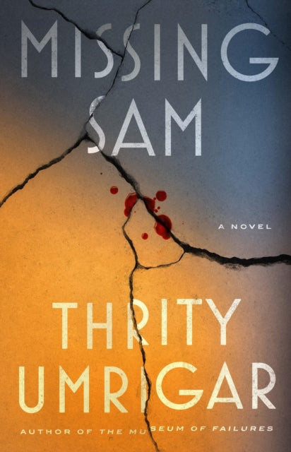 Missing Sam: A Novel