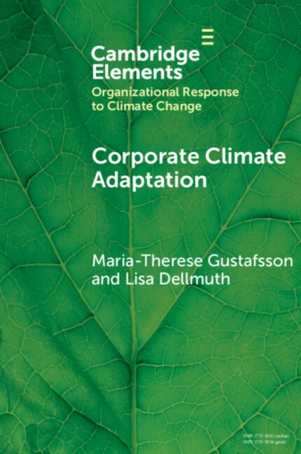 Corporate Climate Adaptation: Translating Complex Societal Risks into Business as Usual