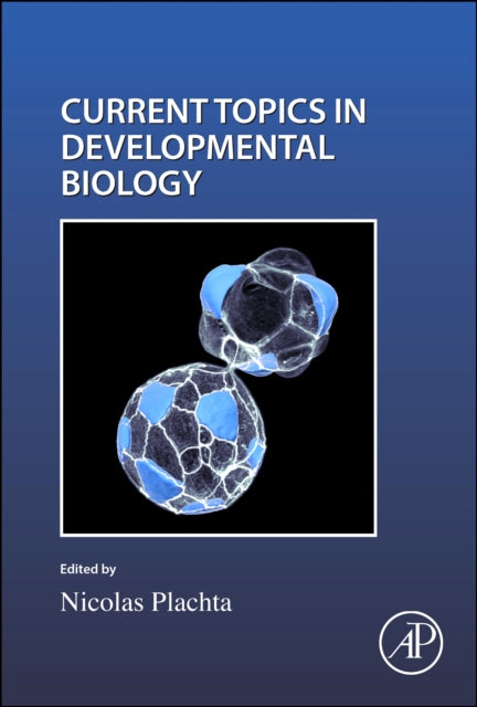 Cell Shape and Position during Development