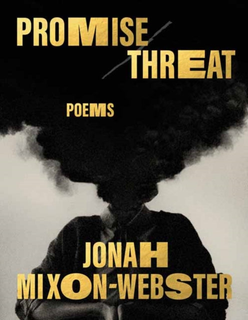 Promise/Threat: Poems