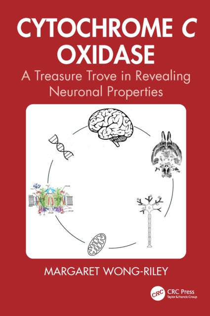 Cytochrome c Oxidase: A Treasure Trove in Revealing Neuronal Properties from Systems to Molecules