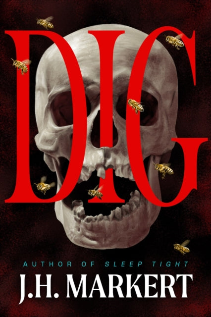 Dig: A Novel