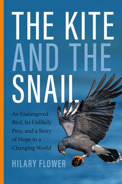 The Kite and the Snail: An Endangered Bird, Its Unlikely Prey, and a Story of Hope in a Changing World