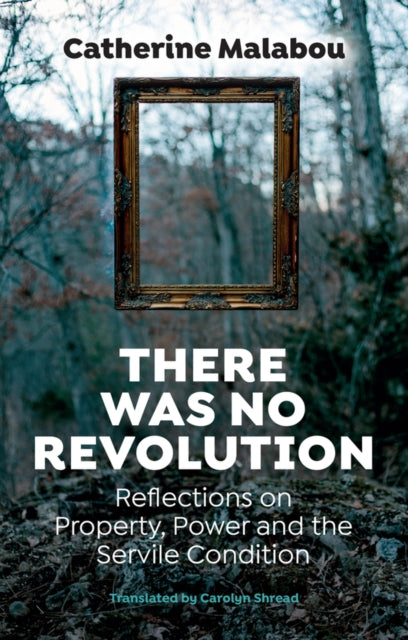 There Was No Revolution: Reflections on Property, Power and the Servile Condition
