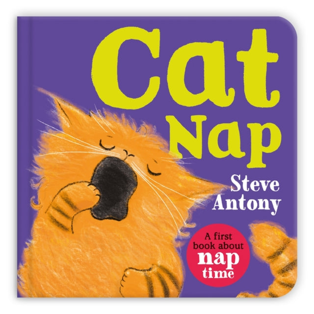 Cat Nap: A First Book About Naptime
