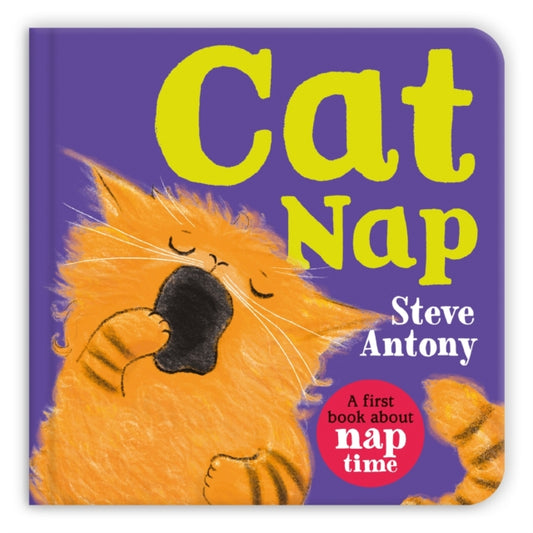 Cat Nap: A First Book About Naptime