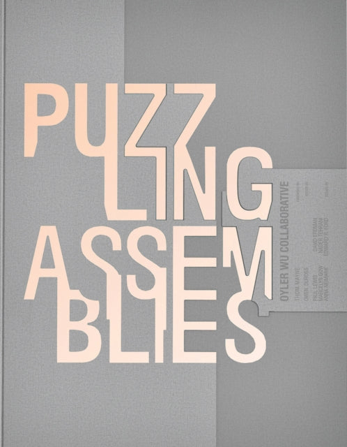 Puzzling Assemblies