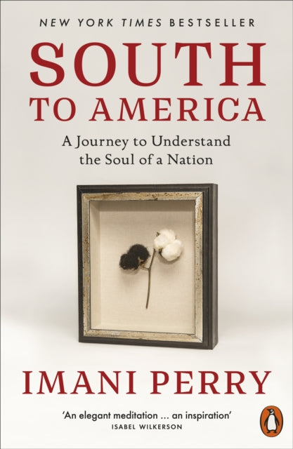 South to America: A Journey to Understand the Soul of a Nation