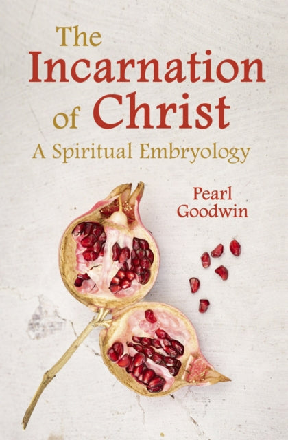 The Incarnation of Christ: A Spiritual Embryology