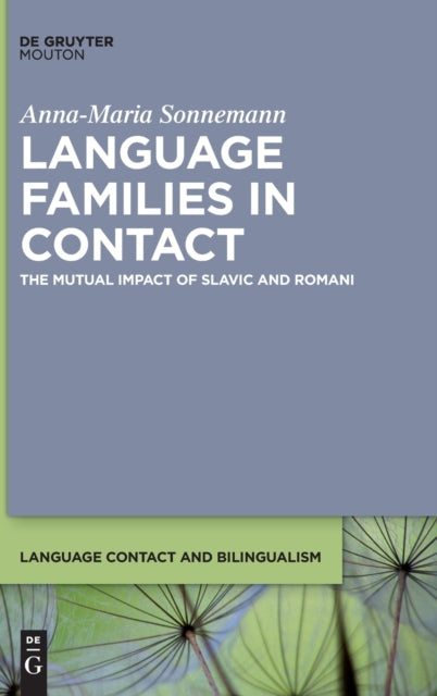 Language Families in Contact: The Mutual Impact of Slavic and Romani