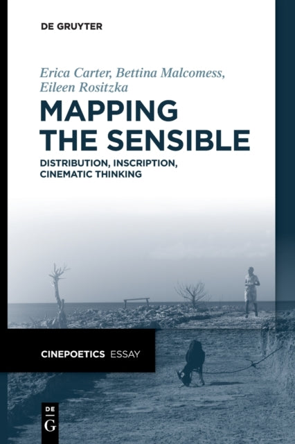 Mapping the Sensible: Distribution, Inscription, Cinematic Thinking