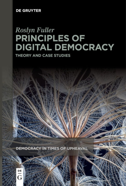 Principles of Digital Democracy: Theory and Case Studies