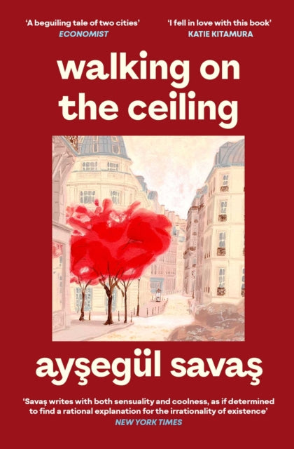 Walking on the Ceiling