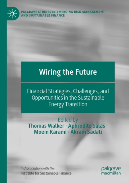 Wiring the Future: Financial Strategies, Challenges, and Opportunities in the Sustainable Energy Transition