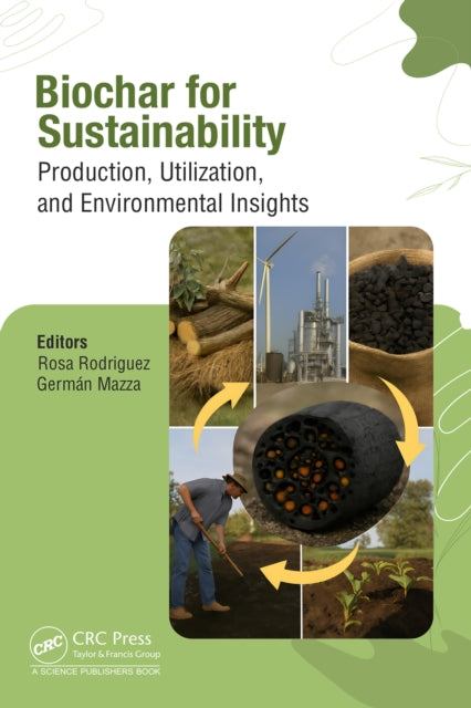 Biochar for Sustainability: Production, Utilization, and Environmental Insights