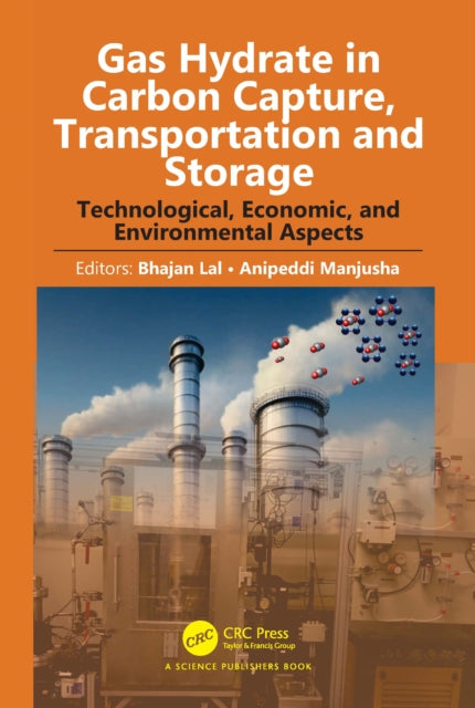 Gas Hydrate in Carbon Capture, Transportation and Storage: Technological, Economic, and Environmental Aspects