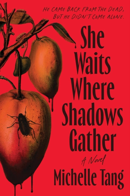 She Waits Where Shadows Gather: A Novel